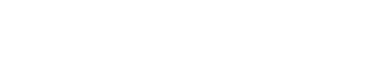VerifyFlow™ logo